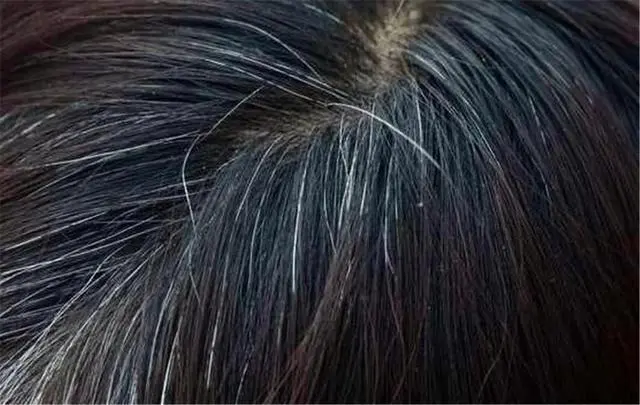 美容化妆品加工厂家