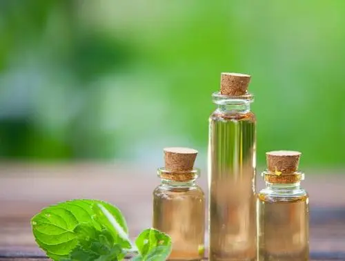 植物化妆品生产公司