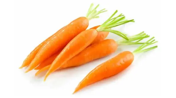 正宗防脱生发产品报价