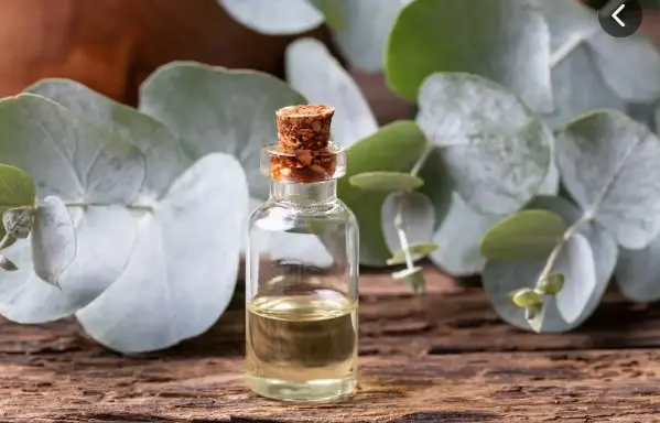 日本生发产品哪个好