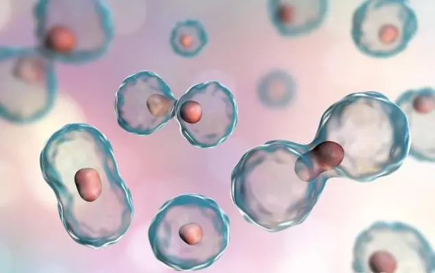 好的化妆品生产商