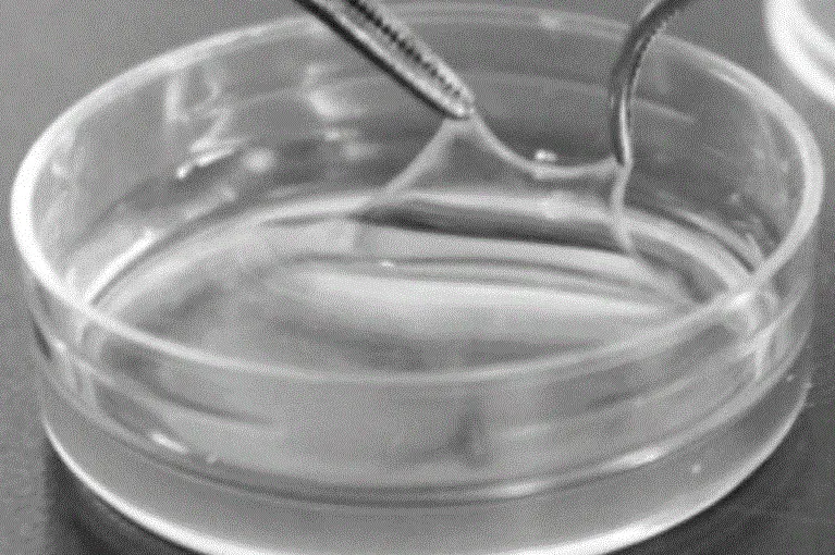 化妆品生产哪家好