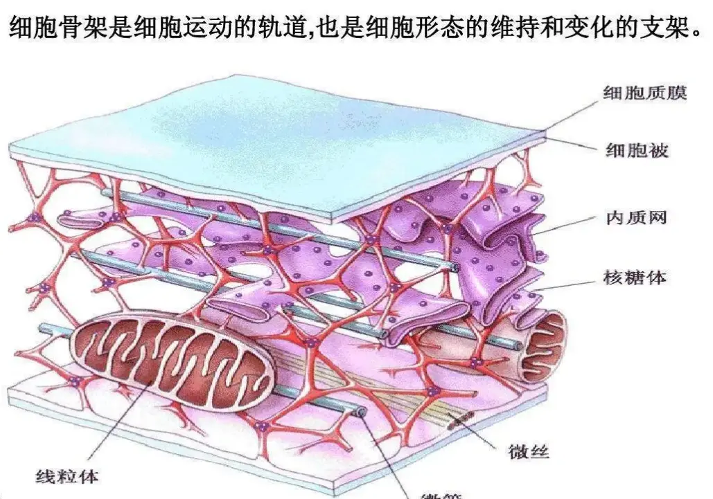 化妆品生产厂家oem代加工