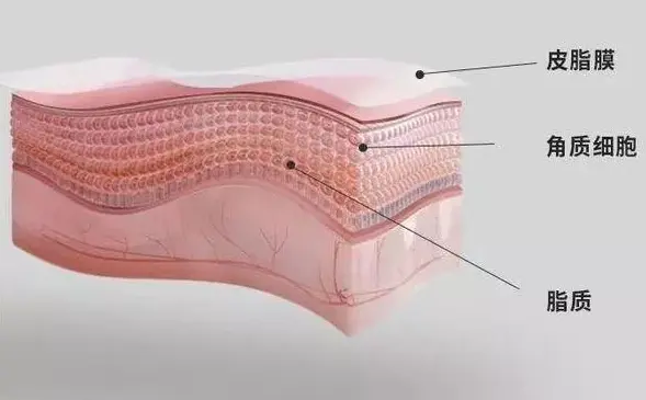 化妆品加工厂化妆品