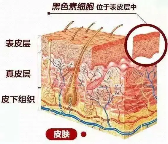 化妆品公司代加工