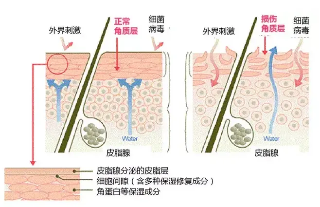 做化妆品生产厂家