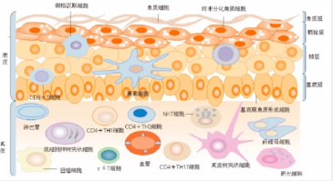 护肤品oem企业