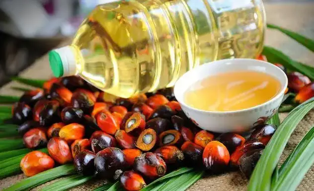 有什么育发液比较有用