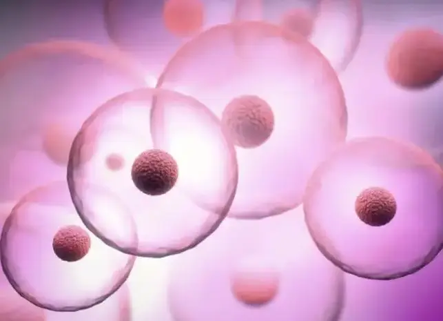 化妆品代加工化妆品加工