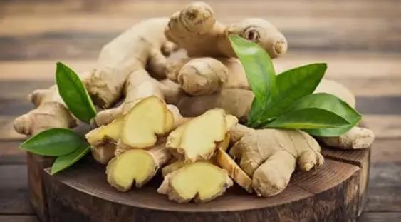 防脱育发液oem定制