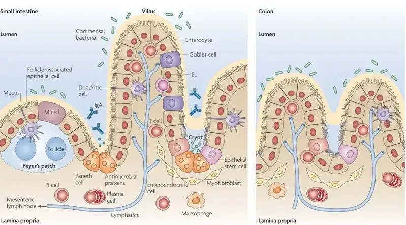 化妆品生产代加工厂家电话