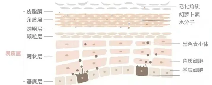 化妆品生产厂家oem代加工