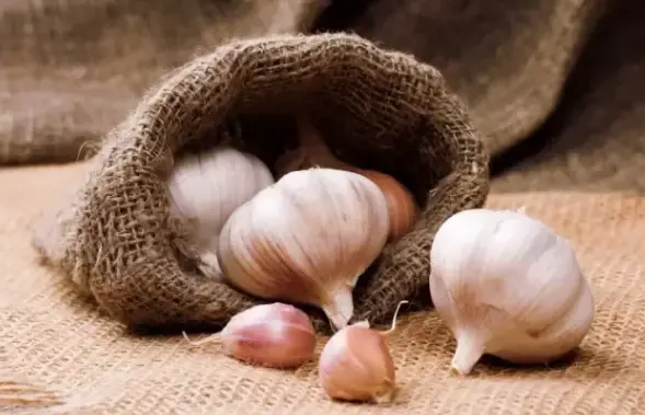 哪款产品能生发养发