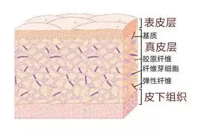 出口化妆品代加工