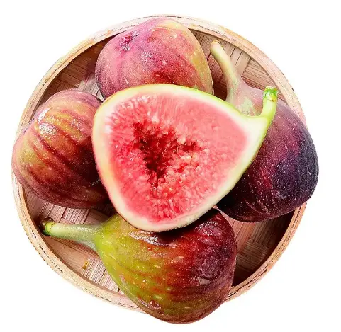 品牌化妆品代加工厂家