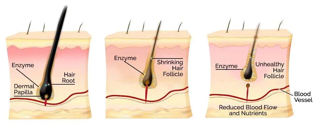 化妆品加工生产家