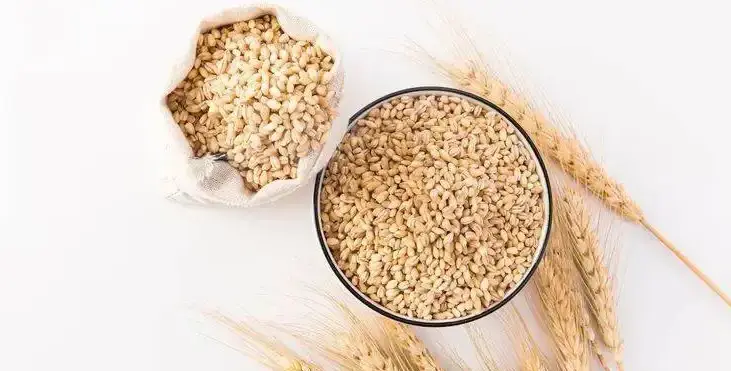 化妆品代加工有限公司