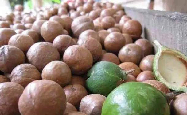 定做化妆品生产商