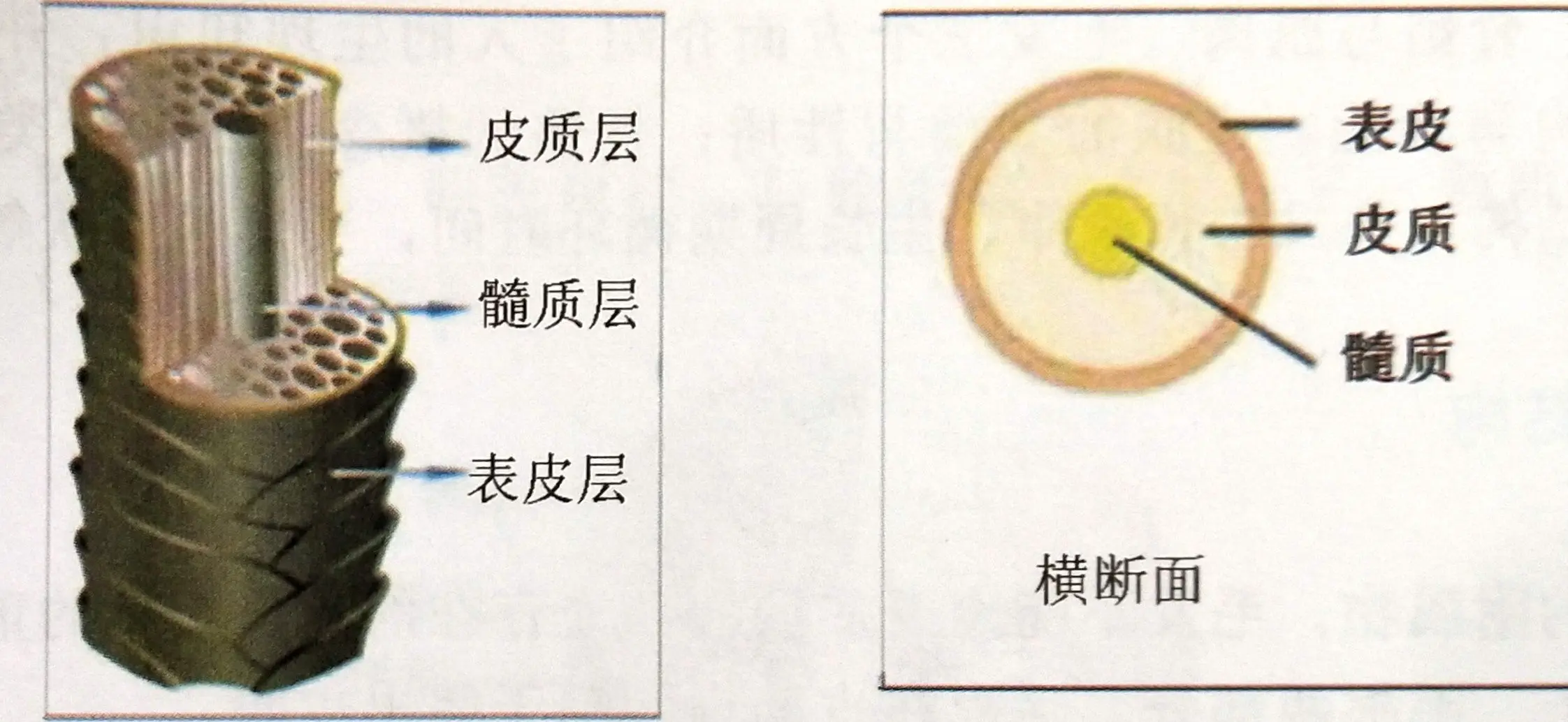 美容化妆品代加工