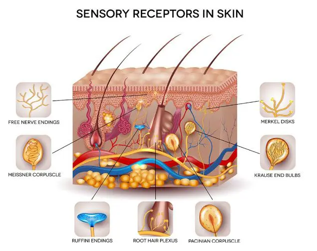 广东化妆品加工厂家