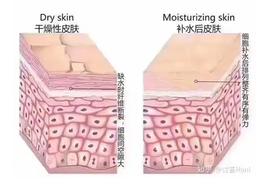 化妆品广东代加工