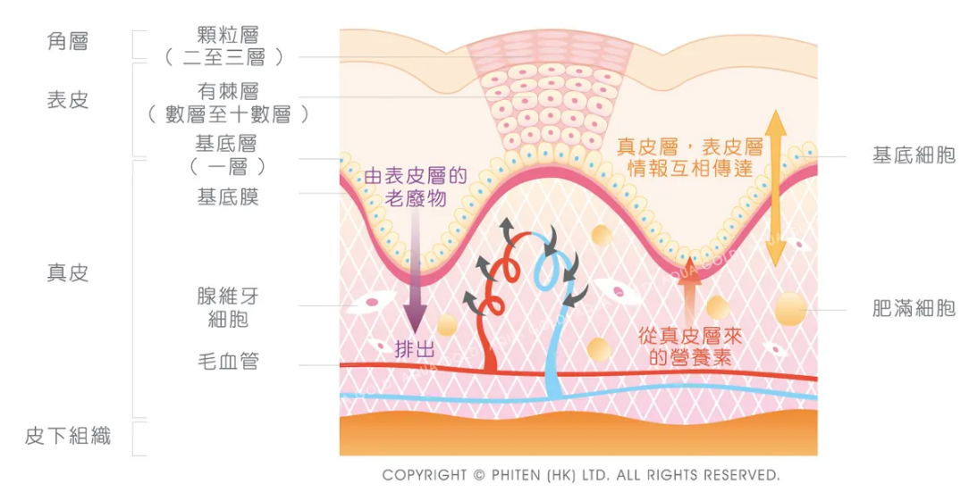 oem代加工护肤品