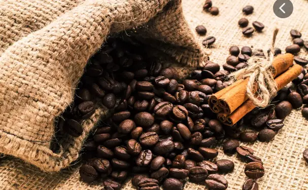 好的防脱生发产品