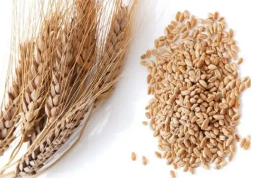 护肤品生产厂家