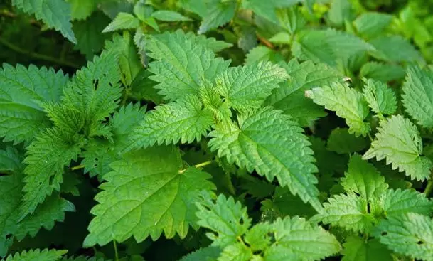 护肤品代工生产