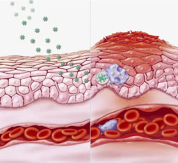 化妆品外贸厂家