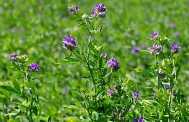 贴牌代加工护肤品