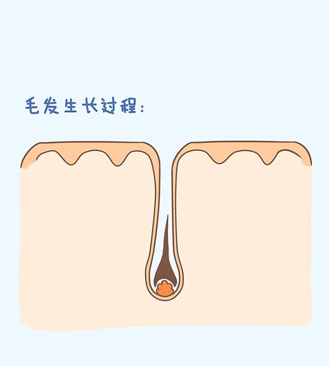 防脱育发液oem定制