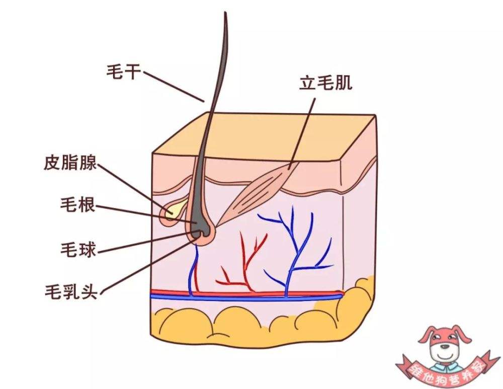 防脱生发产品