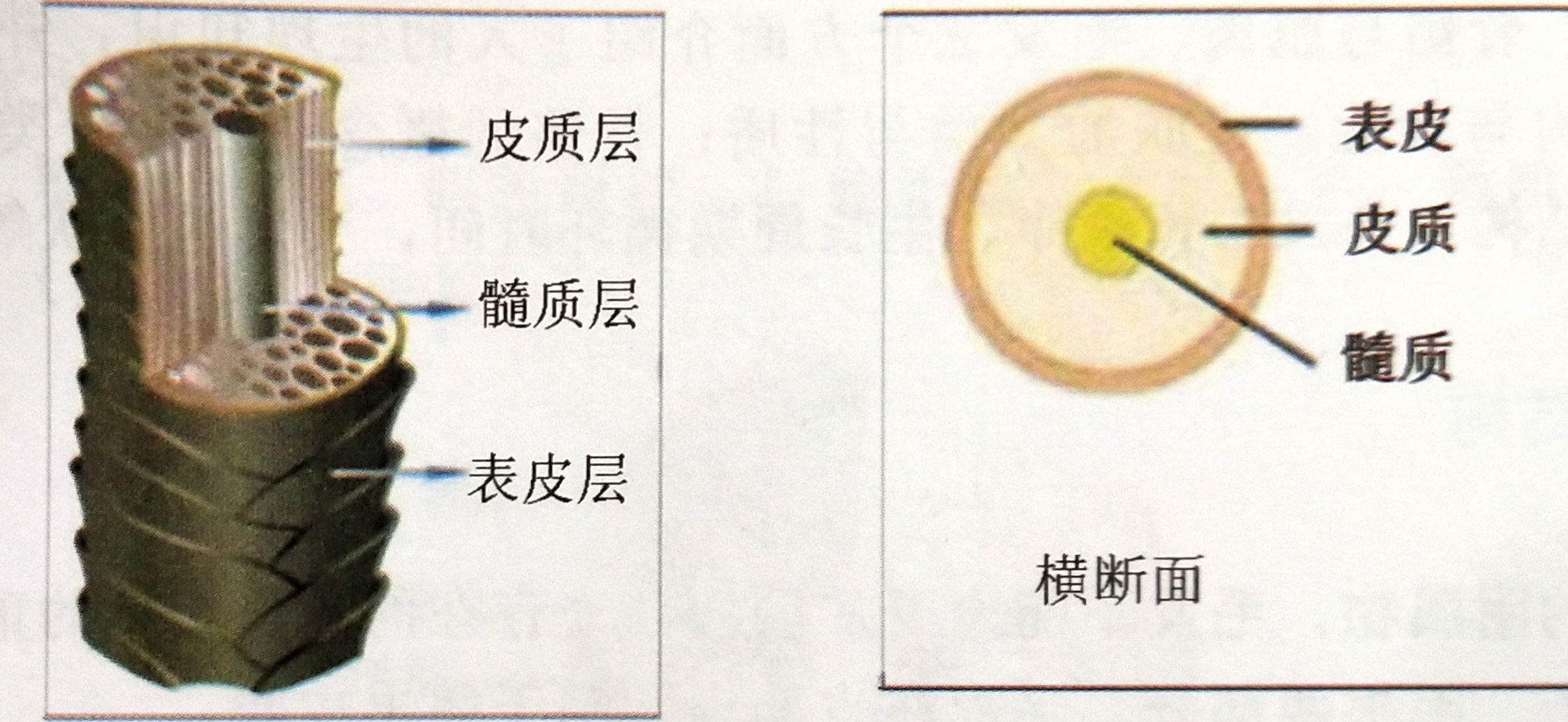 育发产品如何选