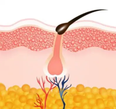 比较好的生发产品