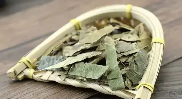 什么生发产品最好