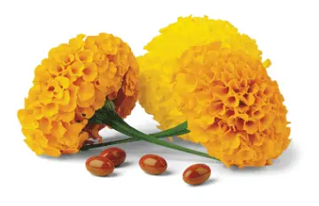 质量好的生发产品