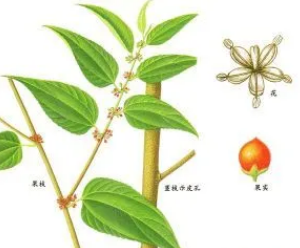 化妆品oem加工哪家好