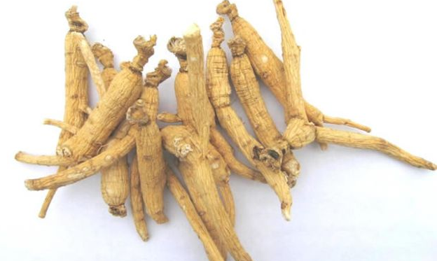 草药预防脱发