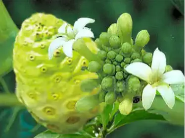 化妆品哪生产的好