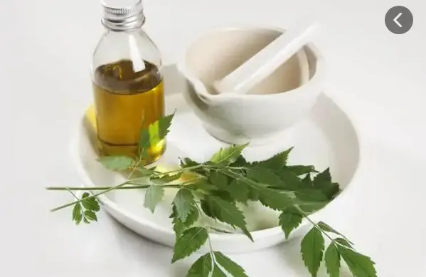 头发护理生发产品