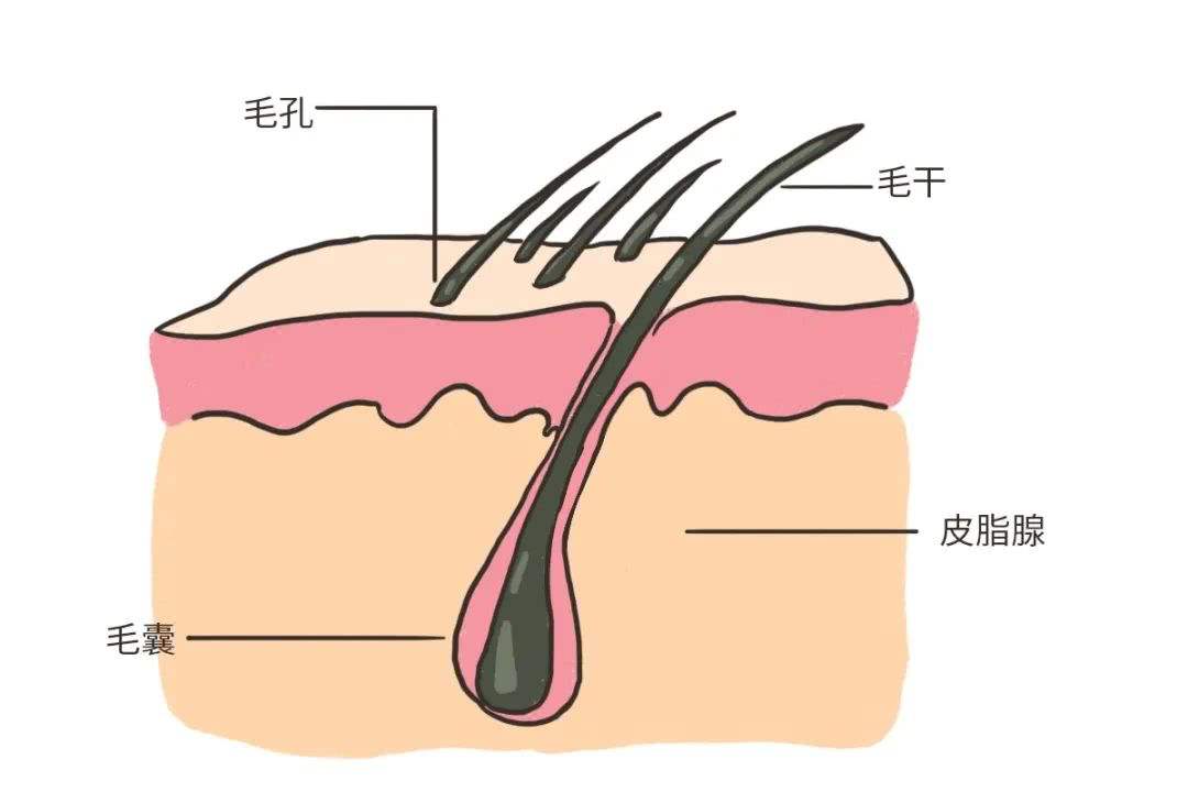 化妆品生产企业公司
