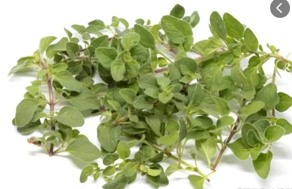  化妆品odmoem厂家