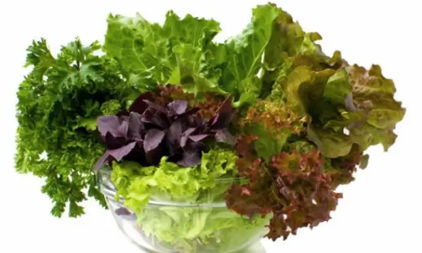 头发快速生长液