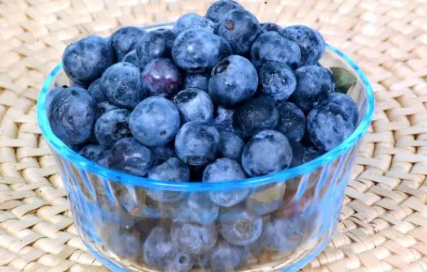 发囊活素生产代工