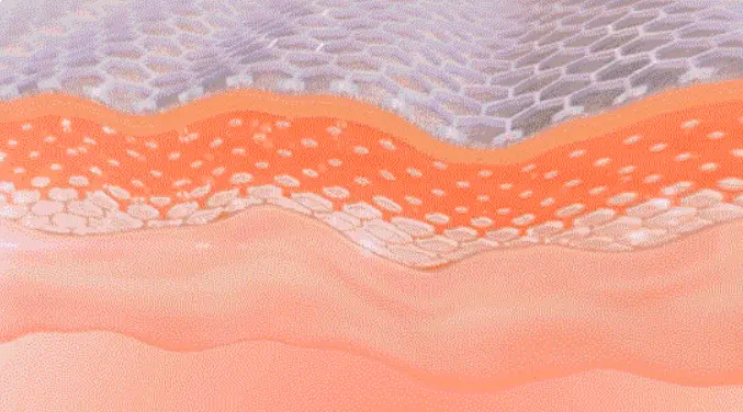 化妆品厂家加工