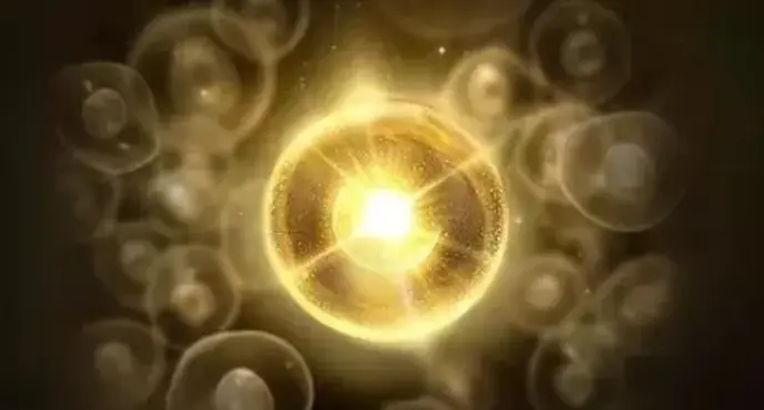 化妆品代加工生产