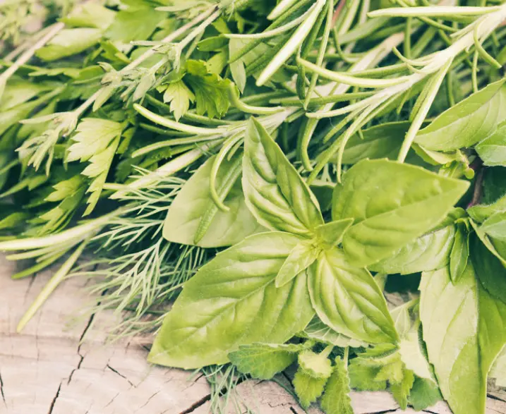 化妆品科研贴牌的厂家