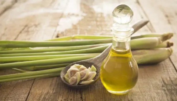 化妆品厂生产加工