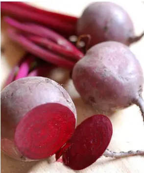 化妆品代加工研发生产